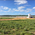 kommerzielle Huhn Broiler Geflügel Bauernhof Haus Design zum Verkauf